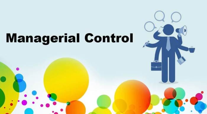 Managerial control a turbulent ride