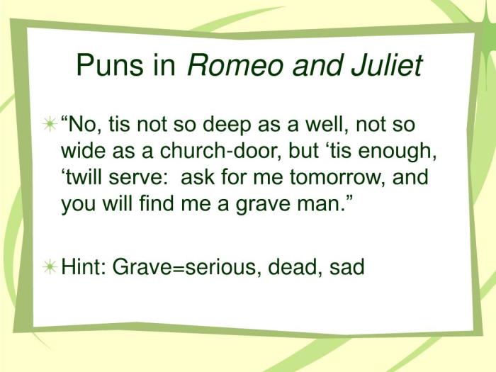 Romeo and juliet act 1 puns