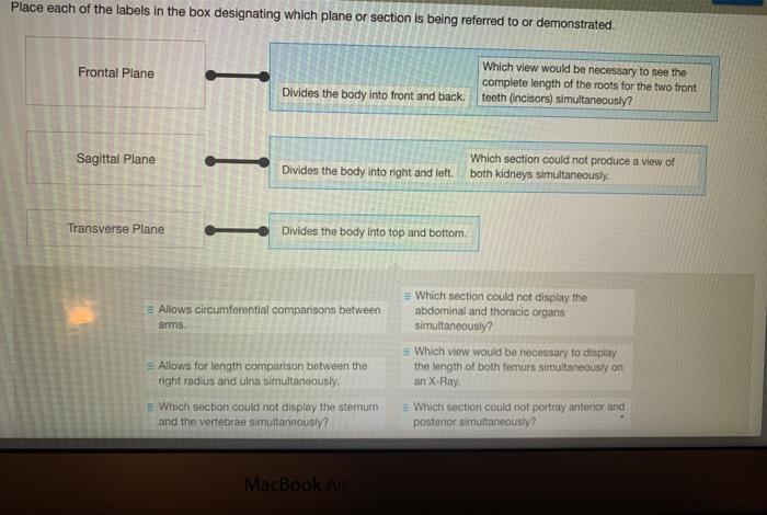 Allows circumferential comparisons between arms