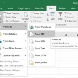 Import the csv file pb participants.csv as a table